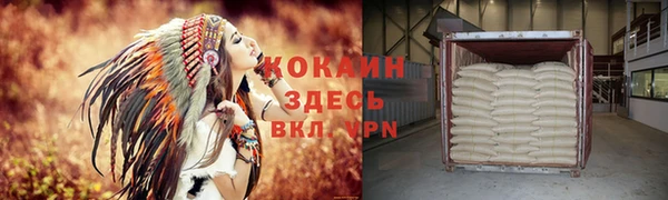 гидра Новодвинск