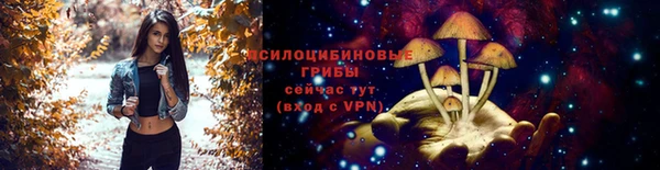 спайс Новозыбков