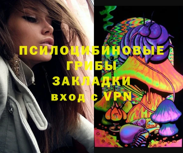 не бодяженный Няндома