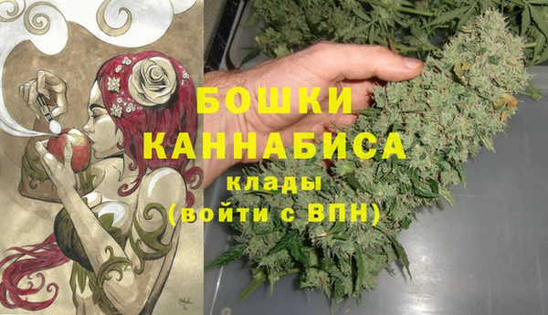 гидра Новодвинск