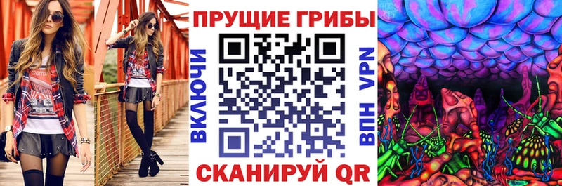 Псилоцибиновые грибы Cubensis  Лодейное Поле 